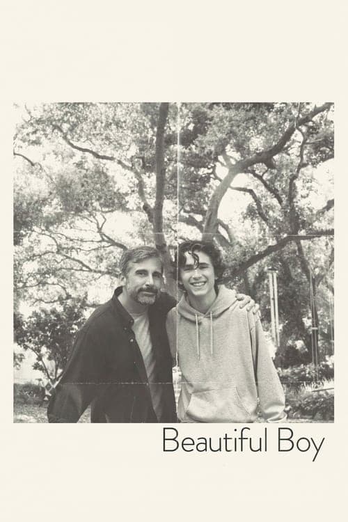 Read Beautiful Boy screenplay.