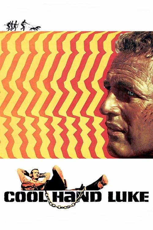 Read Cool Hand Luke screenplay (poster)