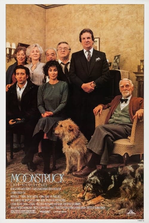 Read Moonstruck screenplay.