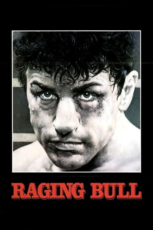 Read Raging Bull screenplay (poster)