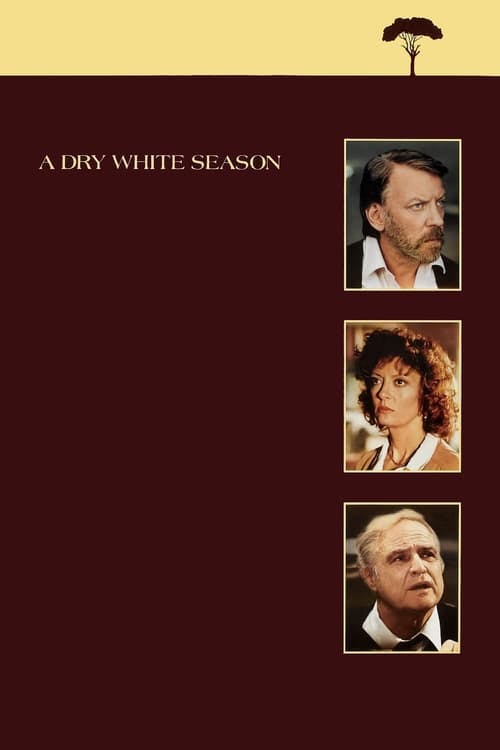 Read A Dry White Season screenplay (poster)