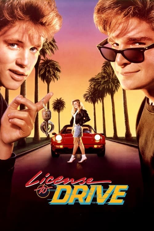 Read License to Drive screenplay (poster)